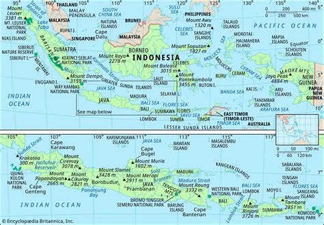 kumapoi. info|KumaPoi Indoesia .